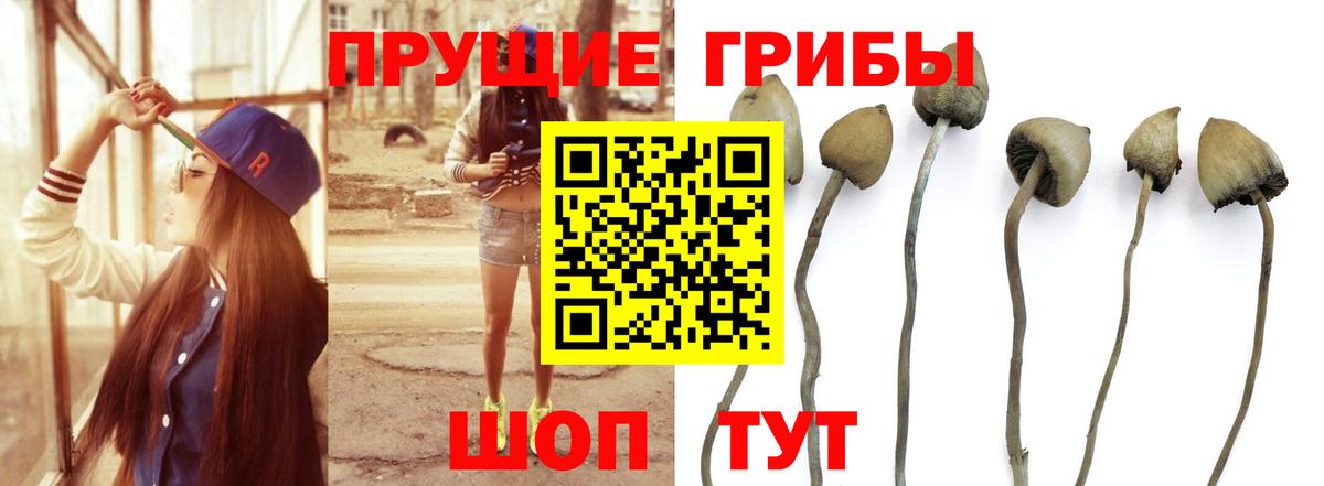 Псилоцибиновые грибы ЛСД Краснотурьинск